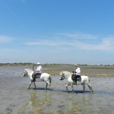 Mas De La Grenouillere Hotel Et Centre Equestre En Pleine Nature Сент-Марі-де-ла-Мер Екстер'єр фото