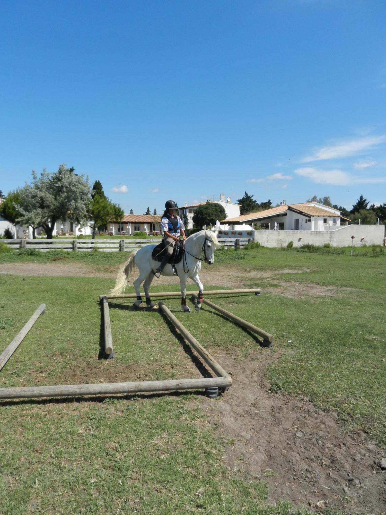 Mas De La Grenouillere Hotel Et Centre Equestre En Pleine Nature Сент-Марі-де-ла-Мер Екстер'єр фото
